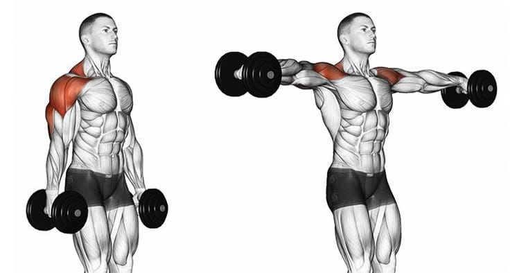 wznosy bokiem technika, zaangażowane mięśnie