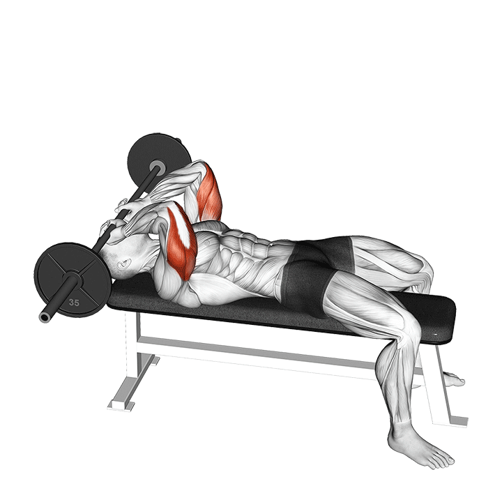 wyciskanie francuskie technika